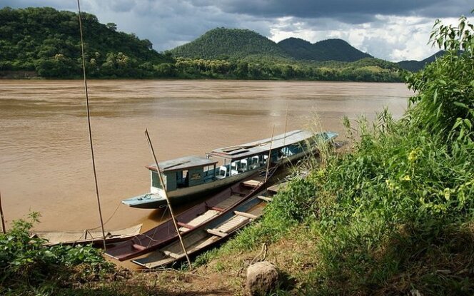 Mekongas